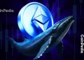 Ethereum Whales Turn Bullish; Can They Fuel An End Of Year Rally?