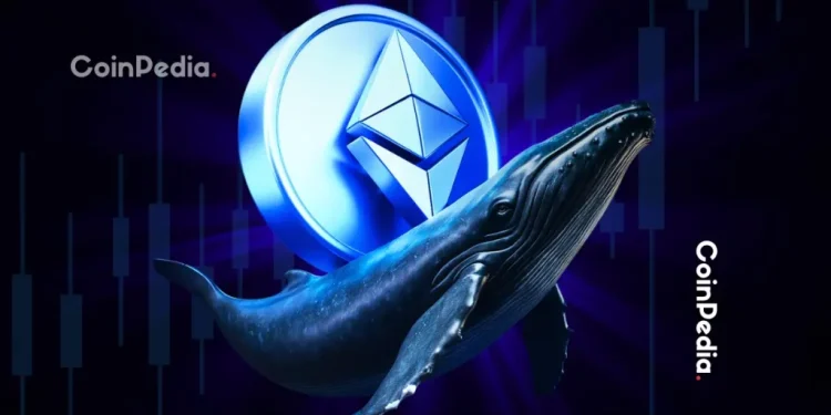 Ethereum Whales Turn Bullish; Can They Fuel An End Of Year Rally?