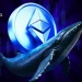 Ethereum Whales Turn Bullish; Can They Fuel An End Of Year Rally?