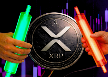 XRP Price News: What 25,000 New Wallets Mean for the $2 Level