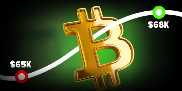 Bitcoin Hitting $76,000—Is This a ‘Dead-Cat-Bounce’ Setup to Drag the BTC Price to $50K?