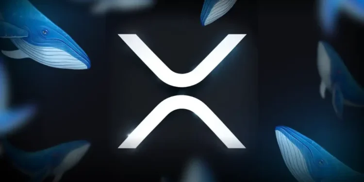 When Will XRP Price Hit a New All-Time High?