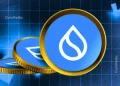 SUI Network Sees Whale Accumulation Ahead of Gasless Upgrade